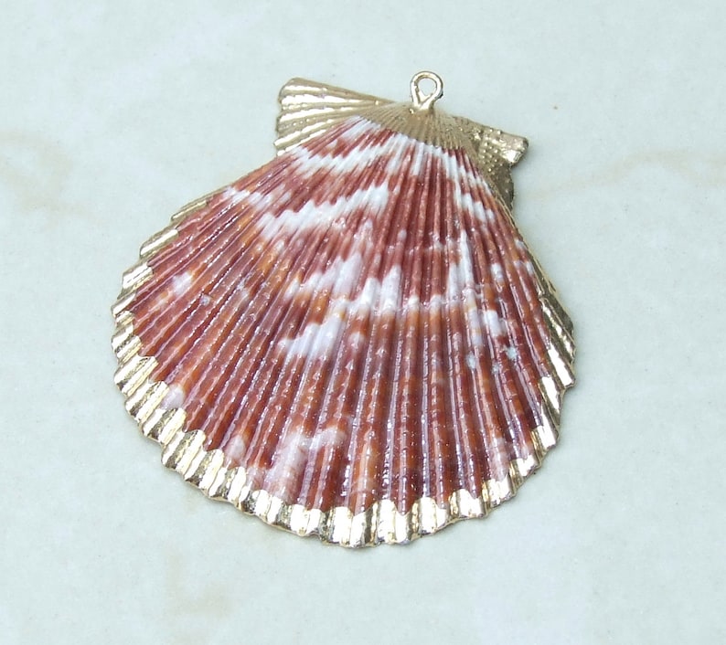 Op de afbeelding: Een decoratieve schelpenhanger met een goudkleurige rand. De schelp heeft een patroon van roodbruine en witte strepen. De hanger heeft een kleine lus aan de bovenkant om op te hangen.
