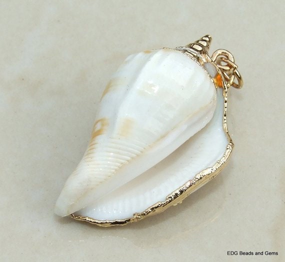 Gold Edge Natural Spiral Sea Shell Pendant - Spiral Shell Bead ...
