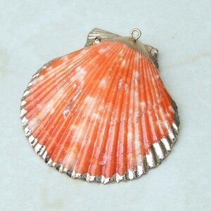 Op de afbeelding: Een schelpenhanger met een levendig oranje en wit patroon, omlijst door een zilverkleurige metalen rand. De hanger heeft een lus aan de bovenkant om op te hangen. Het oppervlak van de schelp heeft een getextureerd, geribbeld ontwerp.