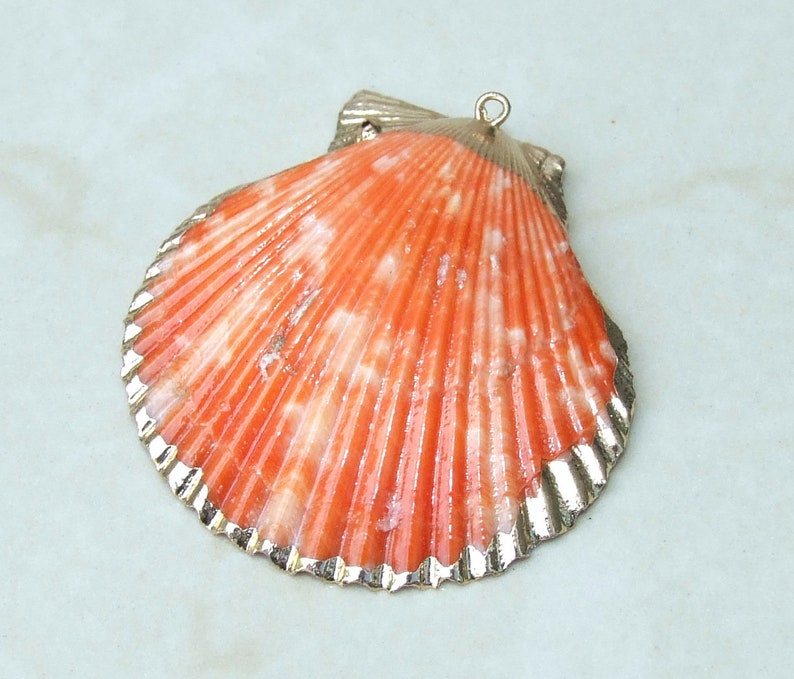 Op de afbeelding: Een schelpenhanger met een levendig oranje en wit patroon, omlijst door een zilverkleurige metalen rand. De hanger heeft een lus aan de bovenkant om op te hangen. Het oppervlak van de schelp heeft een getextureerd, geribbeld ontwerp.