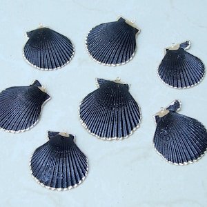 May include: Seven black scallop shell ornaments with gold trim. The shells are arranged in a semi-circle on a white surface.