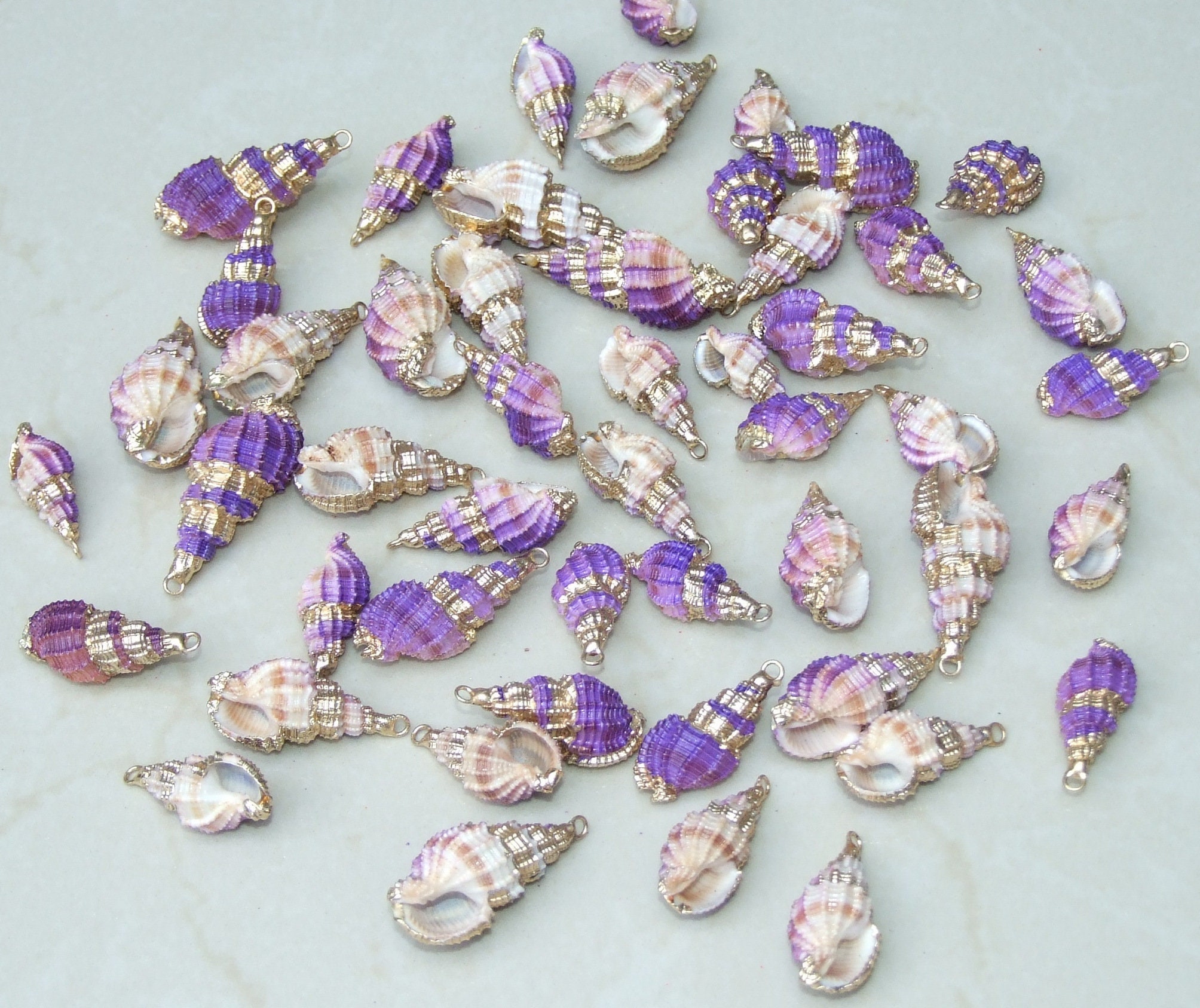 Natural Gold Edge Spiral Sea Shell Pendant, Spiral Shell Bead, Seashell Pendant, Shell Jewelry, Conch Shell, Ocean Jewelry, 25-40mm, 06D