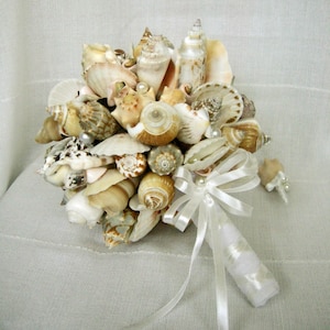 Op de afbeelding: Een boeket van schelpen die bij elkaar zijn gebonden met een wit satijnen lint. Het boeket bestaat uit verschillende schelpen in verschillende vormen en maten, waaronder sommige met parel accenten.