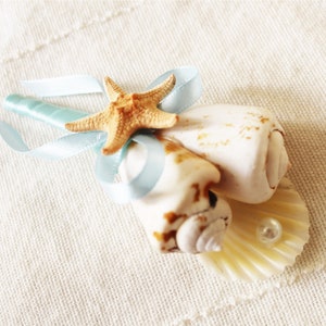 Shell Boutonniere  "Sea ", Wedding Sea Shell, Beach Wedding, Groom Boutonniere, Clamshells boutonnieres, Starfish