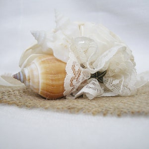 May include: A seashell with a delicate lace overlay, resting on a burlap surface. The seashell is a light brown color with a white tip. The lace is white and has a delicate floral pattern.
