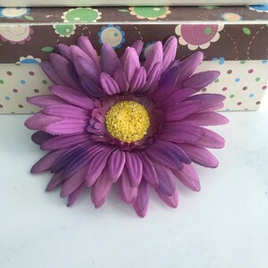 Margarida Gérbera Lavanda Grande em Dois Tons