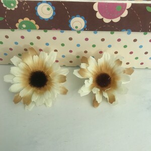 小さなツートンのクリーム色の花
