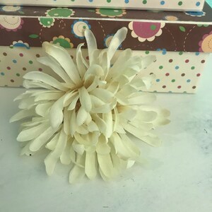 大きなアイボリーマム