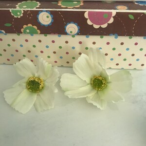 中くらいの白い花