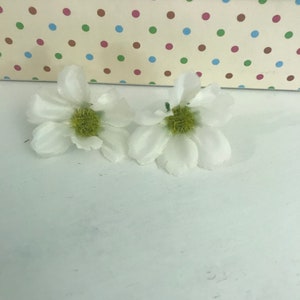 小さな熱帯の白い花