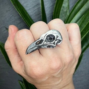 HORIZONTAL RAVEN SKULL  (8.5)