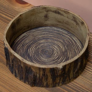 May include: A circular wooden bowl with a tree-ring pattern inside. The exterior has a bark-like texture, and the rim is a lighter brown. The interior features concentric circles, creating a natural, rustic aesthetic. The bowl is likely handmade.