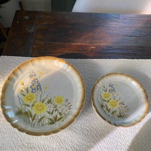 Vtg MCM Manor House Garden Floral Mikasa Dinner Plate / Salad Plate Set (9) Beige Brown Yellow - Mid Century Dining Set Yellow Flowers