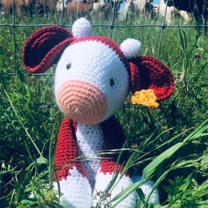May include: A crocheted stuffed cow toy with a white body, red legs and ears, and a pink nose. The toy is sitting in a field of green grass.