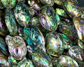 AAA Natural Abalone Shell Bead 26x20mm Oval Shape, Gorgeous Natural Rainbow Peacock Color Abalone Shell Excellent Quality Full Strand 15.5"