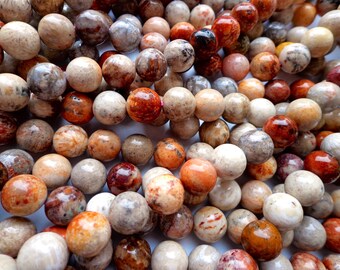 Perle di agata corallina fossilizzata naturale AAA da 6 mm, 8 mm, 10 mm, forma rotonda, perle grigie, perle di ottima qualità, lunghezza totale 15,5 pollici