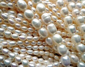 15 Loose Real Freshwater Pearl Beads - Natural White, 4-5mm, Center-Drilled For Jewelry Making 9 thumbnail image