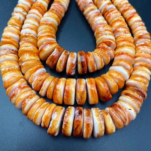AA Spiny Oyster Shell, Graduated shape. gorgeous orange color. Spiny oyster shell bead. High quality. Full Strand 15.5”