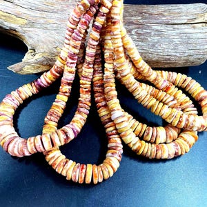 AAA Natural spiny oyster shell beads . Graduated shape. High polished spiny oyster shell necklaces bead. yellow orange color . Loose bead