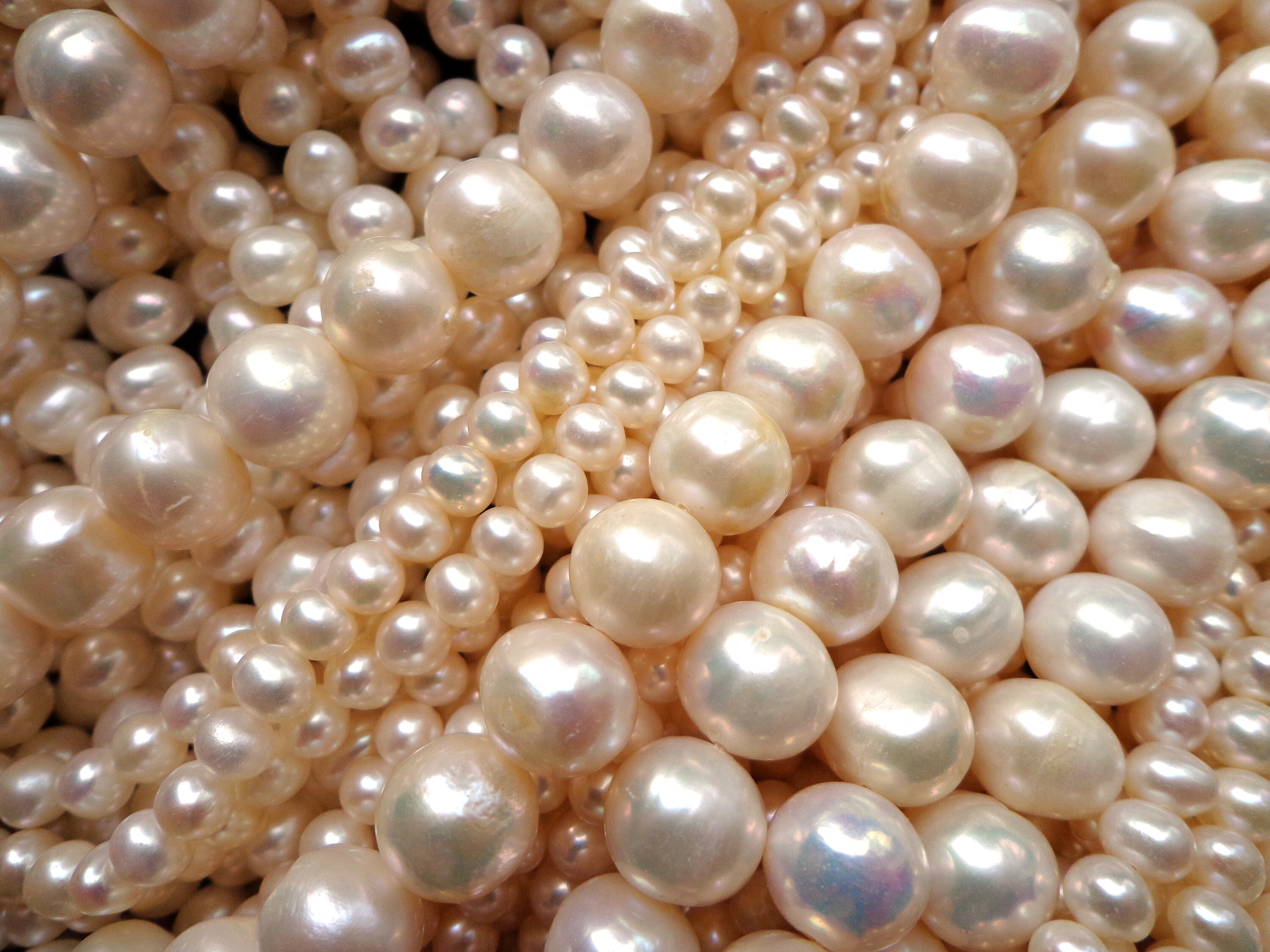 4mm Glass Pearl Beads in Gold Color, High Quality With Smooth Finish &  Lovely Weight, Small Faux Pearl, Diy Jewelry Making Supply Bulk - Yahoo  Shopping