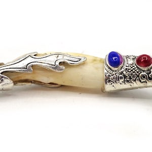 NATURAL Wolf Teeth with Silver Plating, 66x13mm, Great for JEWELRY making! Not treated in anyway! AAA Quality! Handmade Pendant!