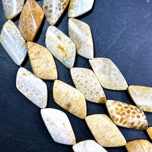 Natural Fossil Coral Gemstone Bead 43x24mm Curved Diamond Shape, Beautiful Natural Beige Orange Color Fossil Coral Beads, Full Strand 15.5&quot;
