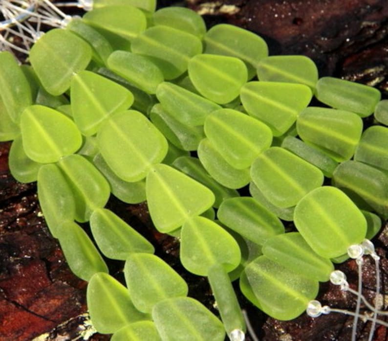 Frosted Matte Finish 13-16mm Olive Green Free Form Flat Beads 6 Pieces Sea Glass Style Beads Small Size