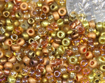 Seed Beads, 8/0 Size, Champagne Mix, Kumihimo Beads, Accent Beads, Spacer Beads, 10 Grams