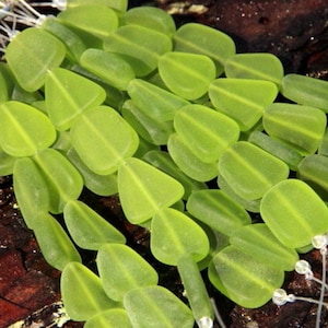May include: A strand of light green glass beads, each bead is shaped like a teardrop. The beads are strung on a clear thread and are arranged in a cascading pattern.