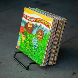 May include: A stack of vinyl records with a colorful cover featuring The Beach Boys "Endless Summer" album art. The cover features a group of men in a tropical setting with lush green foliage and a blue sky.