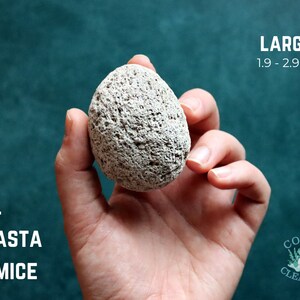 May include: A large, light gray pumice stone from Mount Shasta, measuring 1.9 to 2.9 ounces. The stone is being held in a hand against a teal background.