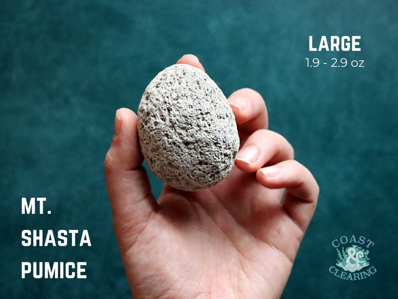 May include: A large, light gray pumice stone from Mount Shasta, measuring 1.9 to 2.9 ounces. The stone is being held in a hand against a teal background.