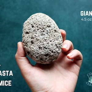 May include: A large, light gray pumice stone from Mount Shasta, weighing over 4.5 ounces.  The stone is rough and porous, with a natural, irregular shape.  It is held in a hand against a teal background.