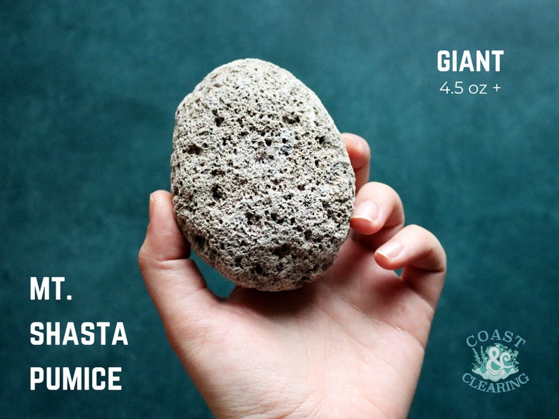May include: A large, light gray pumice stone from Mount Shasta, weighing over 4.5 ounces.  The stone is rough and porous, with a natural, irregular shape.  It is held in a hand against a teal background.
