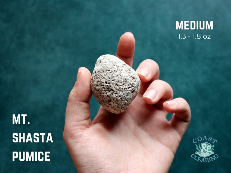 May include: A medium-sized, light gray pumice stone from Mount Shasta, weighing between 1.3 and 1.8 ounces. The stone is held in a hand against a teal background.