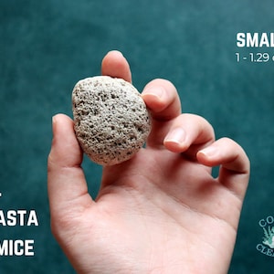 May include: A small, light gray pumice stone, approximately 1 to 1.29 ounces, held in a hand against a teal background. The text "MT. SHASTA PUMICE" is visible in the lower left corner of the image. The text "SMALL 1 - 1.29 oz" is visible in the upper right corner of the image. The text "COAST & CLEARING" is visible in the lower right corner of the image.