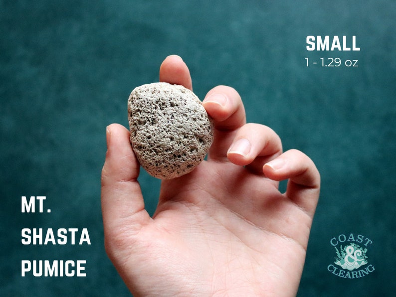 May include: A small, light gray pumice stone, approximately 1 to 1.29 ounces, held in a hand against a teal background. The text "MT. SHASTA PUMICE" is visible in the lower left corner of the image. The text "SMALL 1 - 1.29 oz" is visible in the upper right corner of the image. The text "COAST & CLEARING" is visible in the lower right corner of the image.