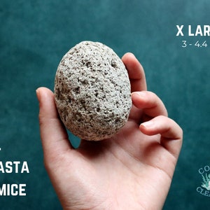 May include: A large, light gray pumice stone from Mount Shasta, measuring 3 to 4.4 ounces. The stone is held in a hand against a teal background. The text "X LARGE" and "3 - 4.4 oz" is printed above the stone. The text "MT. SHASTA PUMICE" is printed below the stone. The text "COAST & CLEARING" is printed in the lower right corner of the image.