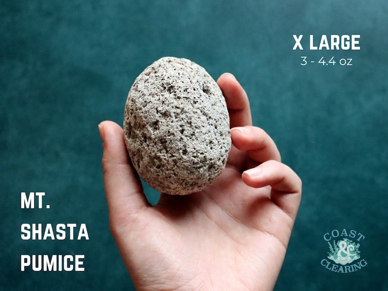 May include: A large, light gray pumice stone from Mount Shasta, measuring 3 to 4.4 ounces. The stone is held in a hand against a teal background. The text "X LARGE" and "3 - 4.4 oz" is printed above the stone. The text "MT. SHASTA PUMICE" is printed below the stone. The text "COAST & CLEARING" is printed in the lower right corner of the image.