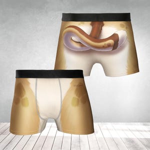 May include: A pair of boxer shorts with a brown and white cat tail design. The front of the boxers features a cat paw print design.