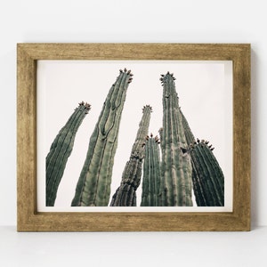 Modern Cactus Print, Saguaro Cactus, Digital Download, Southwest, Desert Print, Arizona, Printable Wall Art, Boho Wall Art, Nursery Decor