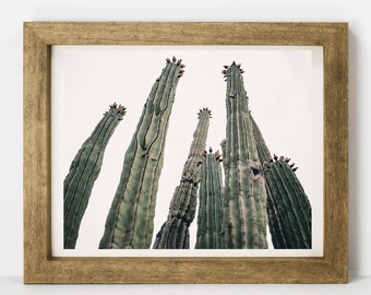 Modern Cactus Print, Saguaro Cactus, Digital Download, Southwest, Desert Print, Arizona, Printable Wall Art, Boho Wall Art, Nursery Decor