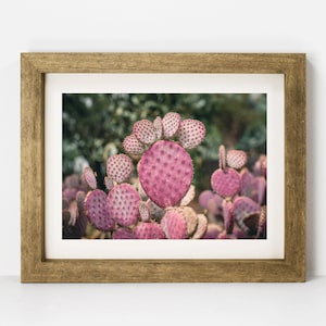 Pink Prickly Pear Cactus, Modern Cactus Print, Prickly Pear, Digital Download, Cactus, Southwest, Desert Print, Arizona, Printable Wall Art