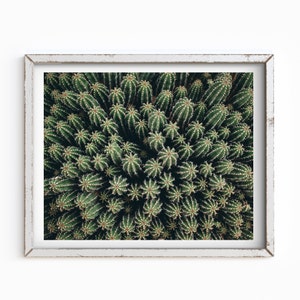 Cactus Print, Cacti Birds Eye View, Digital Download, Succulent, Cactus, Southwest, Desert Print, Arizona, Printable Wall Art, Boho Wall Art