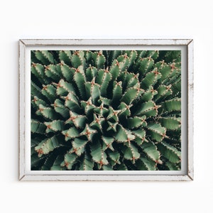 Morrocan Mound Cactus, Modern Cactus Print, Digital Download, Cactus, Southwest, Desert Print, Arizona, Printable Wall Art, Cactus Wall Art