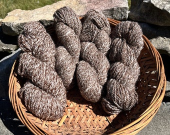 Natural Brown and White Marled Alpaca Yarn - 2-ply Worsted Weight - 200 Yards - 4.5 Ounce Skein