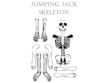 DIGITAL DOWNLOAD- Skeleton Jumping Jack Anatomy Project. Elementary Skeletal System Classroom Craft. School Science Paper Model Learning Toy