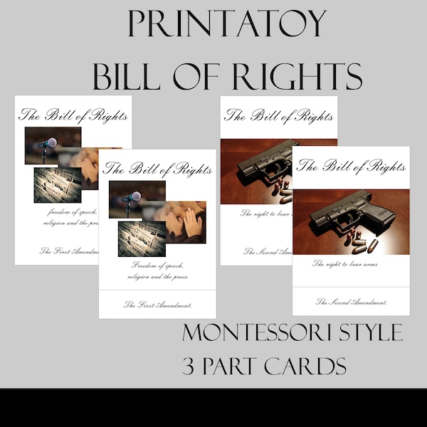 PrintAToy Bill of Rights Montessori Style 3 Part Nomenclature Cards. US Constitution, American History and Government Educational Activity