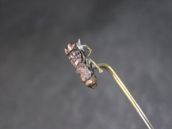 Antique Fly Bug Stick Pin - Gem