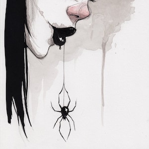 A SPIDER - fine art print - 6x8